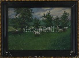Olvashatatlan jelzéssel (jobbra lent), XX. sz. első fele: Kecskék pásztorral. Olaj, karton. Dekoratív fakeretben, 24,5×35,5 cm