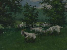 Olvashatatlan jelzéssel (jobbra lent), XX. sz. első fele: Kecskék pásztorral. Olaj, karton. Dekoratí...
