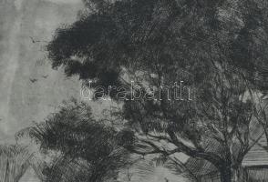 Toroczkai Oszvald (1884-1951): Faluvége. Rézkarc, papír. Jelzés nélkül. Dekoratív, üvegezett, kissé ...