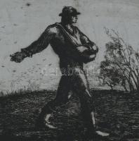 Toroczkai Oszvald (1884-1951): Magvető. Rézkarc, papír. Jelzés nélkül. Üvegezett, kissé kopott faker...
