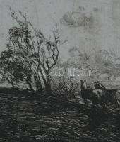 Toroczkai Oszvald (1884-1951): Magvető. Rézkarc, papír. Jelzés nélkül. Üvegezett, kissé kopott faker...