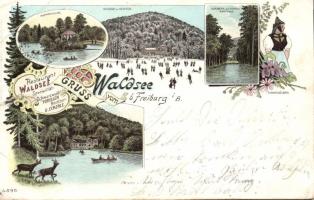 Waldsee with Restaurant Waldsee litho (b)