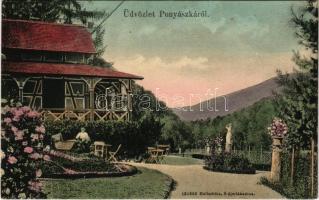 Ponyászka, Poneasca (Bozovics, Bozovici); villa. Hollschütz kiadása / villa (fl)