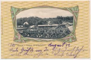 1905 Vízaknafürdő, Ocna Sibiului, Bad Salzburg; sós gyógyfürdő. Takáts Jenő kiadása, szecessziós litho keret / salt baths, spa. Art Nouveau litho frame (fl)