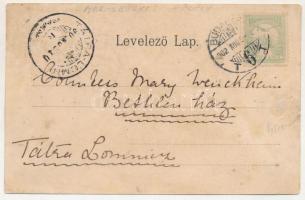 1902 Marosberkes, Birkis, Birchis; Mocsonyi kastély. Erdélyi cs. és kir. udvari fényképész műtermébő...