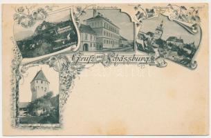 Segesvár, Schässburg, Sighisoara; Teilansicht mit Schulberg, Ev. Bürgerschule, Teilansicht der Burg, Schusterturm / Evangélikus iskola, vár, Cipészek tornya. Szecessziós-virágos keret / Lutheran school, castle, tower. Art Nouveau, floral (fl)