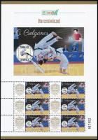 2025 Tanulj és sportolj 6. Cselgáncs megszemélyesített hatos kisív