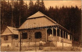Brassó, Kronstadt, Brasov; Siebenbürgische Karpathen, Schuler Pavillon / Erdélyi-Kárpátok, Keresztényhavas menedékház. Wilhelm Hiemesch / chalet, tourist house
