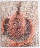 Ardai Ildikó textilművész. Bp - Veszprém, 2013, Magyar Képek. Gazdag képanyaggal illusztrált. Kiadói papírkötés.