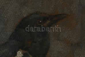 Madarász Gyula (1858-1931): Szarka. Olaj, karton, jelezve jobbra lent, hátoldalán 1990 előtti MNG ki...