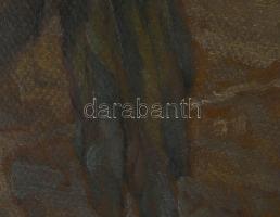 Madarász Gyula (1858-1931): Szarka. Olaj, karton, jelezve jobbra lent, hátoldalán 1990 előtti MNG ki...