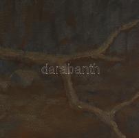 Madarász Gyula (1858-1931): Szarka. Olaj, karton, jelezve jobbra lent, hátoldalán 1990 előtti MNG ki...