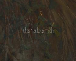 Madarász Gyula (1858-1931): Szarka. Olaj, karton, jelezve jobbra lent, hátoldalán 1990 előtti MNG ki...