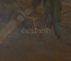 Madarász Gyula (1858-1931): Szarka. Olaj, karton, jelezve jobbra lent, hátoldalán 1990 előtti MNG ki...