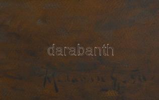 Madarász Gyula (1858-1931): Szarka. Olaj, karton, jelezve jobbra lent, hátoldalán 1990 előtti MNG ki...