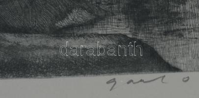 Gaál Domonkos (1940-2009): Tavasz. Rézkarc, papír, jelzett. Üvegezett fakeretben, 26,5x39 cm