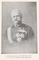 Hirn László: A negyvenhatosok fegyverben. 1914-1918. Összeáll.: - - . A volt cs. és kir. 46-ik gy.-e...