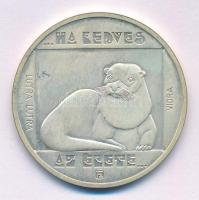 1985. 200Ft Ag "Természetvédelem II. - Vidra" T:BU patina
Adamo EM87