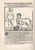 Wäscher, Hermann: 
Das deutsche illustrierte Flugblatt. Band 1: Von den Anfängen bis zu den Befreiu...