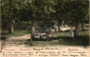 Budakeszi, Virágvölgy. Stern Jakab kiadása