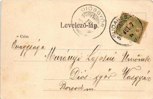 Budakeszi, Virágvölgy. Stern Jakab kiadása