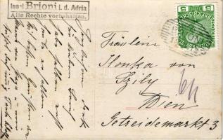 1912 Brijuni, Brioni (Pola, Pula); photo (fa)