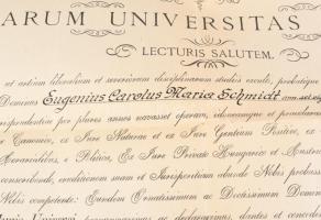 1921 Bp., a Pázmány Péter Tudományegyetem által kiállított jogi doktori diploma, Hanuy Ferenc (1867-...