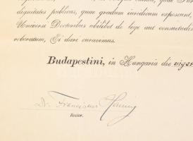 1921 Bp., a Pázmány Péter Tudományegyetem által kiállított jogi doktori diploma, Hanuy Ferenc (1867-...