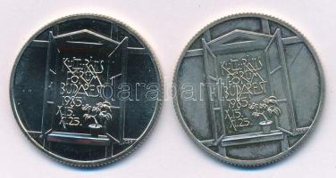 1985. 100Ft Cu-Ni "Kulturális Fórum" (2db) egyik kapszulában T:BU, PP(?) ködösödés
Adamo ...