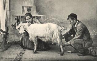 Milking a goat in Sicily (EK)