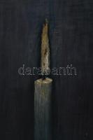 Jelzés nélkül: Csendélet. Olaj, farost. 45x37 cm