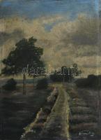 Olvashatatlan jelzéssel (Némedy?), XX. sz. első fele: Táj. Olaj, karton. Apró felületi sérülésekkel. 40x26 cm
