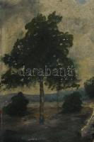 Olvashatatlan jelzéssel (Némedy?), XX. sz. első fele: Táj. Olaj, karton. Apró felületi sérülésekkel....