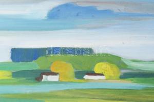 Mészáros Szilveszter (XX. sz. második fele): Alföld. Olaj, farost. Jelzett. Üvegezett fakeretben. 34...