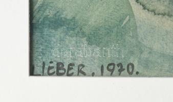 Lieber Éva (1932-2005): Táj, 1970. Akvarell, papír. Jelzett. Paszpartuban. 30x46 cm