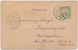 1902 Arad, madártávlatból, látkép, üzletek. Szecessziós címeres litho keret / general view, shops. A...