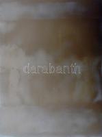 ca 1900 5 db üveg negatív 10x12 cm