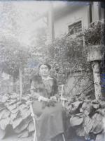 ca 1900 5 db üveg negatív 10x12 cm