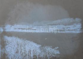 ca 1900 5 db üveg negatív 10x12 cm