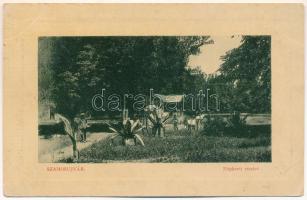 1910 Szamosújvár, Gherla; Népkerti részlet. W.L. Bp. 7040., Haragay Márton / park (EB)