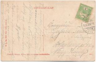 1910 Szamosújvár, Gherla; Népkerti részlet. W.L. Bp. 7040., Haragay Márton / park (EB)