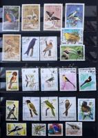 Madarak motívum tétel, 162 db bélyeg 8 lapos A/4 Lindner berakóban