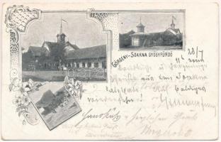 1900 Görgénysóakna, Görgény-Sóakna, Jabenita (Maros); fürdők / spas. Art Nouveau, floral (fa)