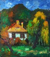 Deák János (1928-2018): Erdélyi részlet. Olaj, karton. Jelzett. 62x54,5 cm