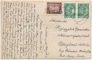 Vajdahunyad, Hunedoara; Vajdahunyad vára, makett / castle model. photo (fa)