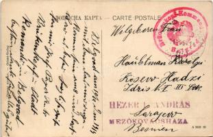 1914 Beograd, Belgrade, Belgrád; Belgrad aus der Vogelperspective / general view, street + "Brü...