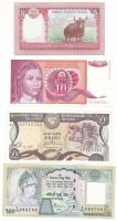 Vegyes, 4db-os bankjegytétel, benne: Nepál, Ciprus, Jugoszlávia T:AU-F szép papír Mixed, 4pcs banknote lot, within: Nepal, Cyprus, Yugoslavia C:AU-F fine paper