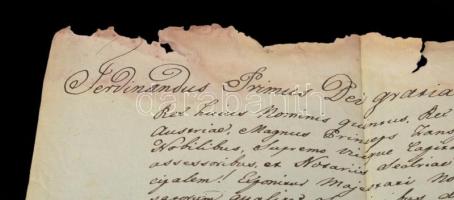 1844 Ferdinánd király nevében Kolozsváron kiállított királyi oklevél Szelnyiczei Bogyai Balázs ügyéb...