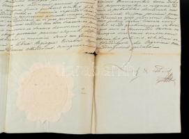 1844 Ferdinánd király nevében Kolozsváron kiállított királyi oklevél Szelnyiczei Bogyai Balázs ügyéb...