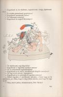 Balzac, [Honoré de]: 
Pajzán históriák. Egybengyűjtötte Touraine apátságaiban és napvilágra hozta n...